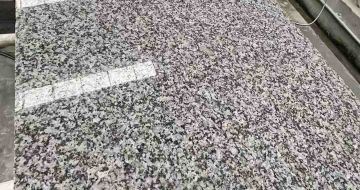 安康 芙蓉白光面