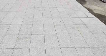 安康芝麻白地铺案例