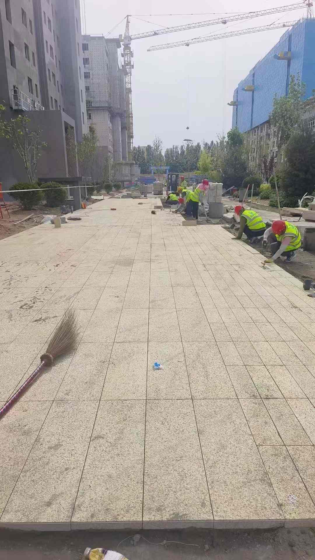 安康黄金麻荔枝面地铺案例